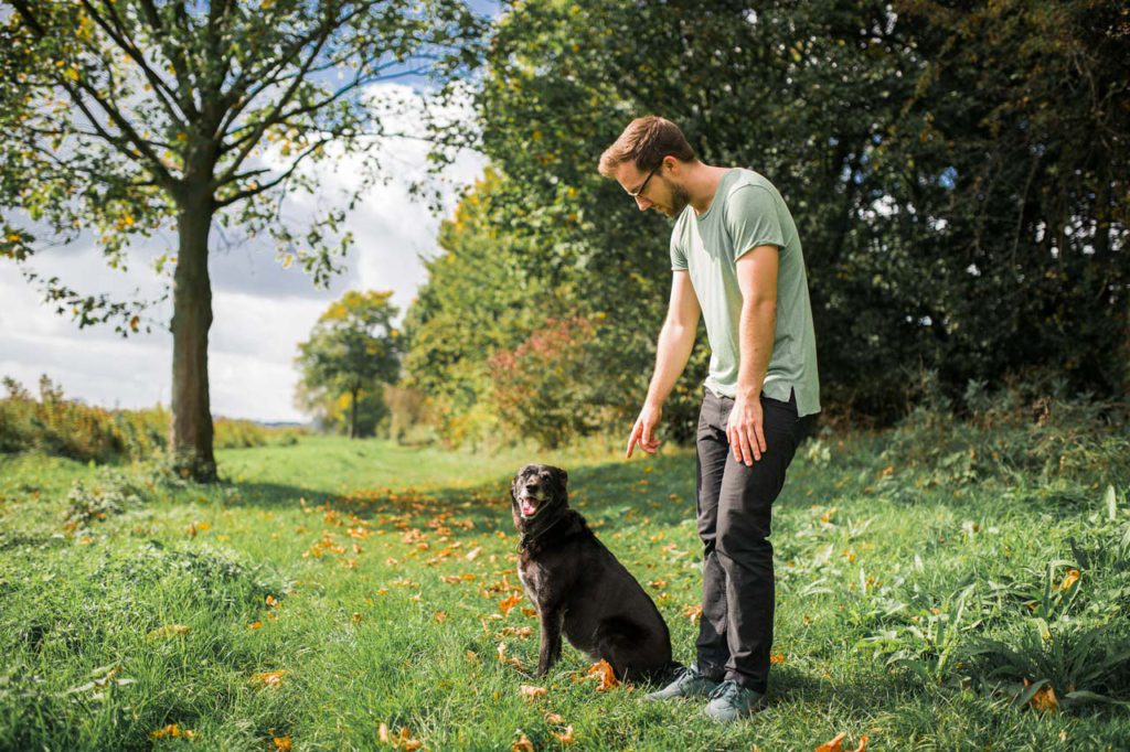 Wie Erziehe Ich Meinen Hund Übersicht Der Besten Tipps