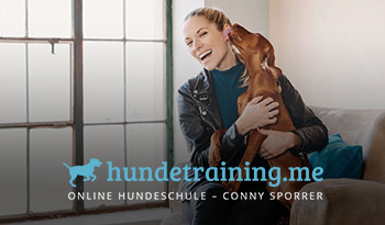 conny sporrer online hundeschule