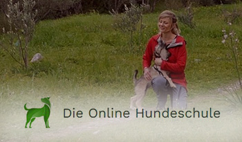 Online Welpenschule Sarah Löwenstein